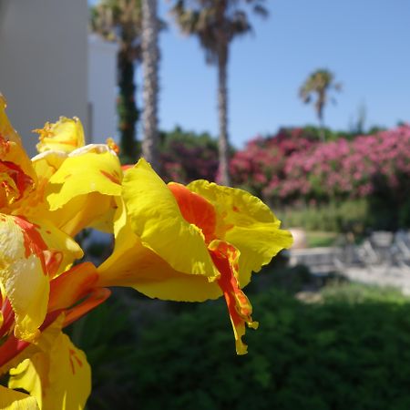 פסאלידי Andromeda Hotel Apartments מראה חיצוני תמונה
