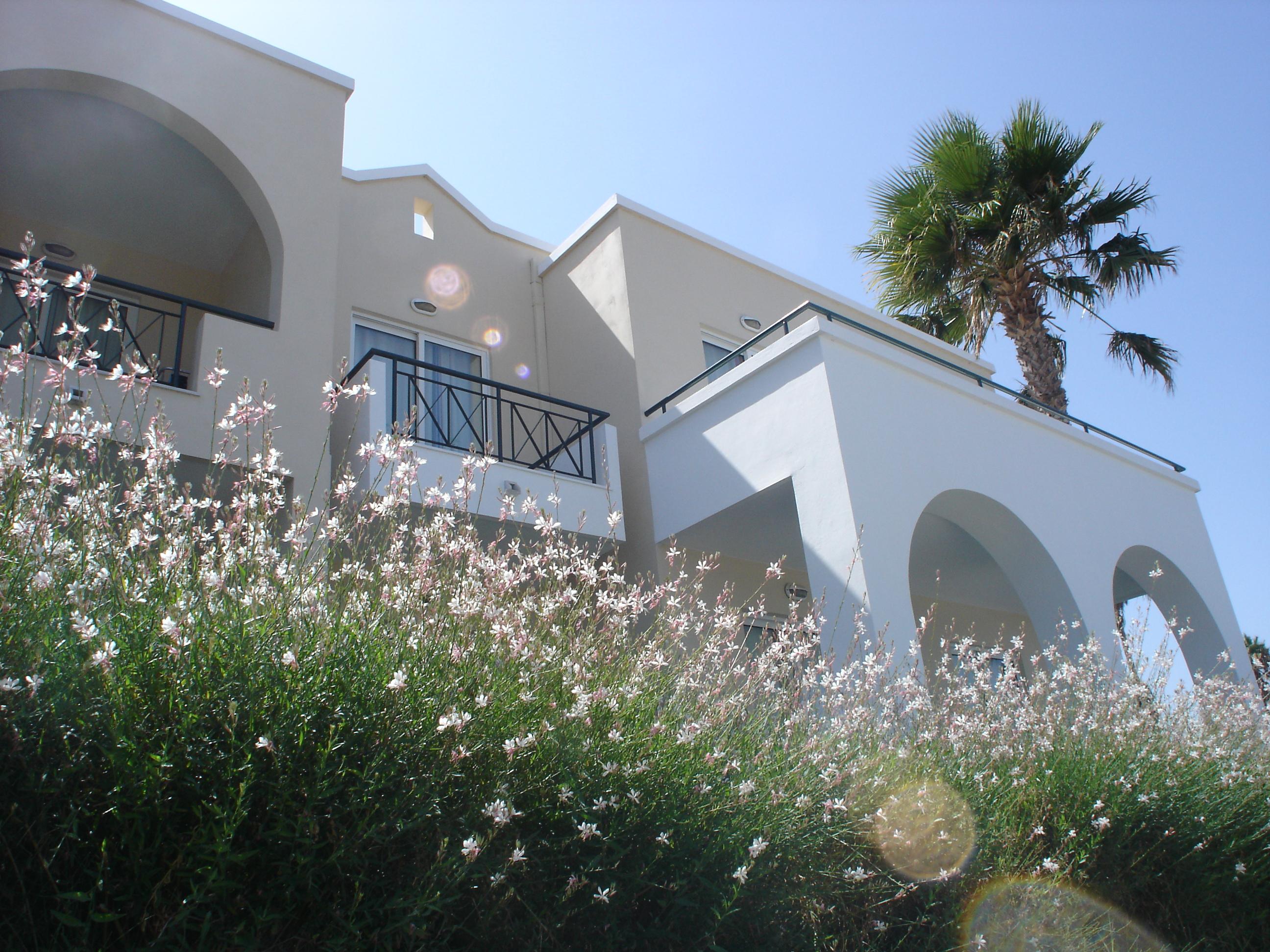 פסאלידי Andromeda Hotel Apartments מראה חיצוני תמונה