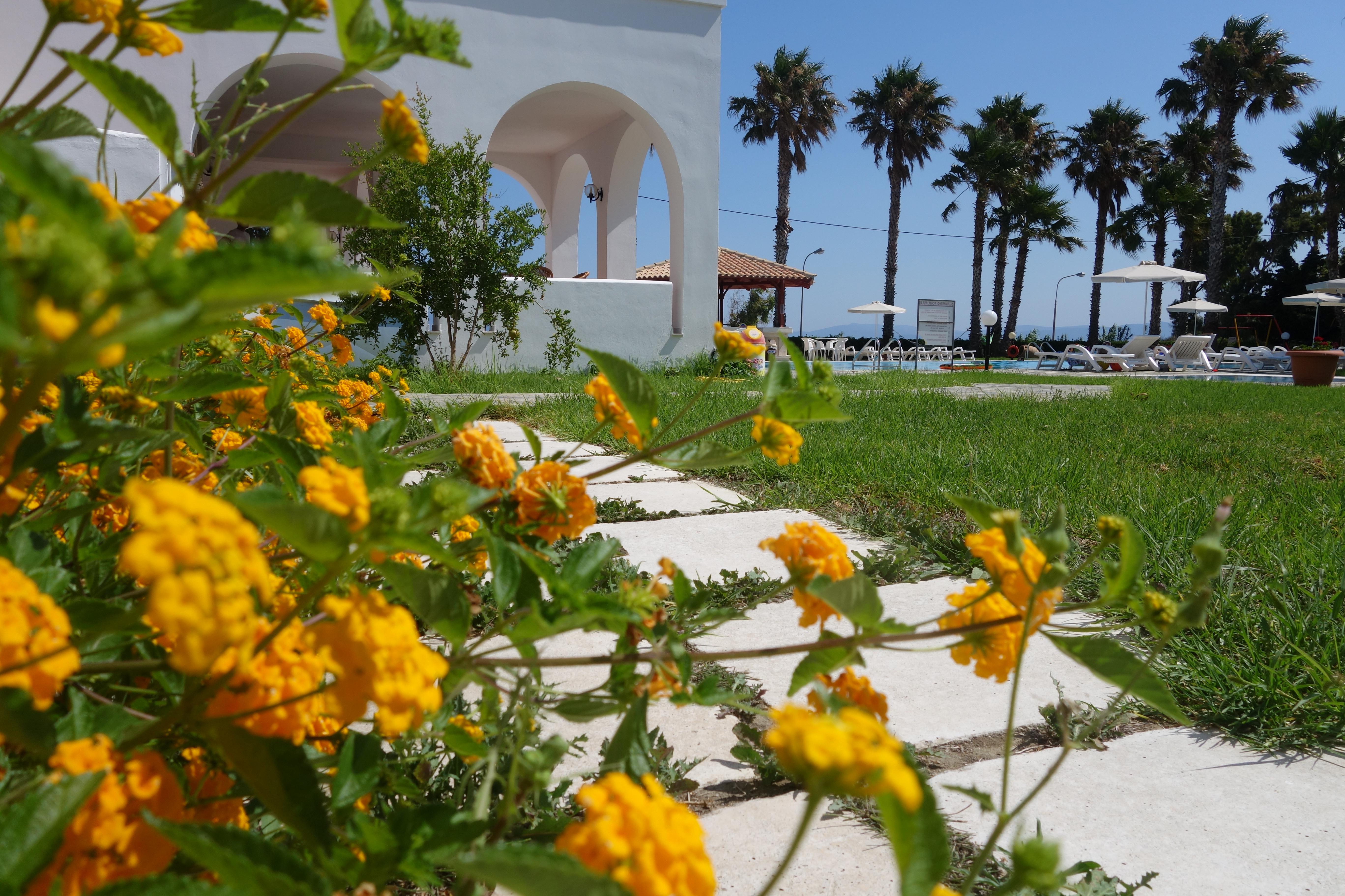 פסאלידי Andromeda Hotel Apartments מראה חיצוני תמונה